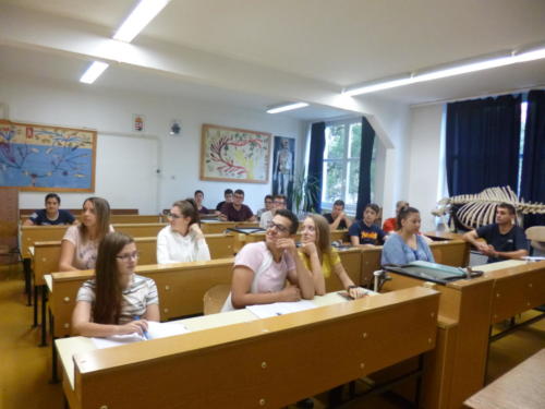 P1030705